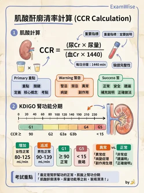 醫檢師 - 腎臟機能與代謝評估 - AI 圖文解析預覽