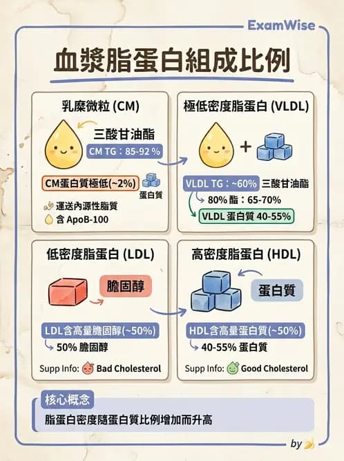 醫檢師 - 脂蛋白分類與臨床應用 - AI 圖文解析預覽