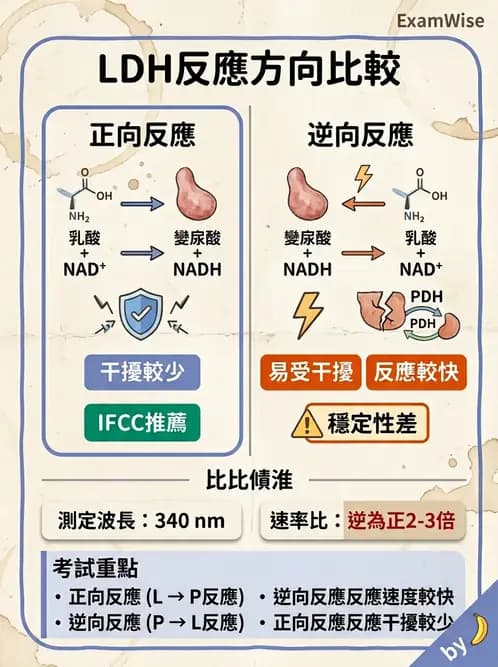 醫檢師 - 臨床酵素學基礎 - AI 圖文解析預覽