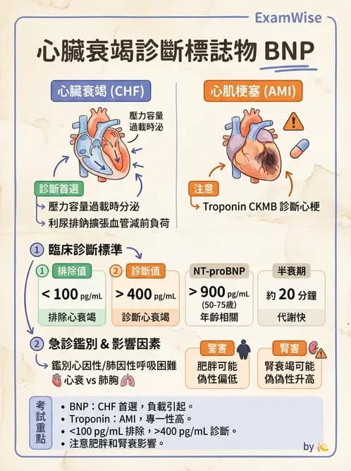 醫檢師 - 心肌標誌與心臟診斷 - AI 圖文解析預覽