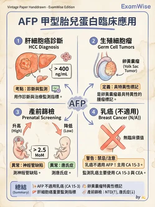 醫檢師 - 腫瘤標誌 - AI 圖文解析預覽