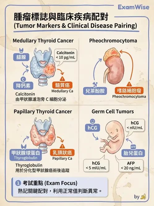 醫檢師 - 腫瘤標誌 - AI 圖文解析預覽