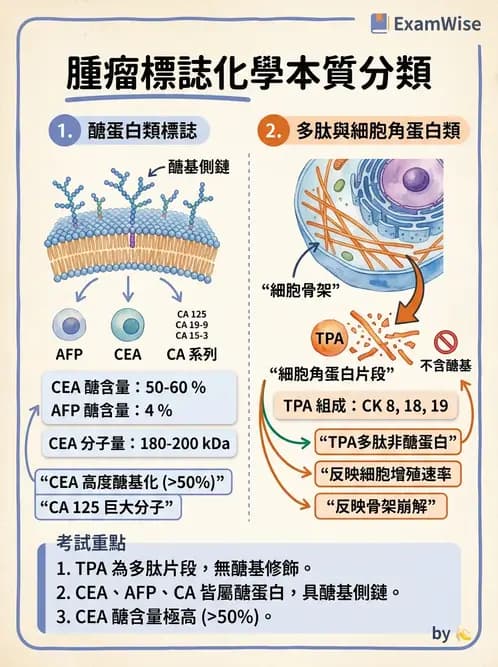 醫檢師 - 腫瘤標誌 - AI 圖文解析預覽