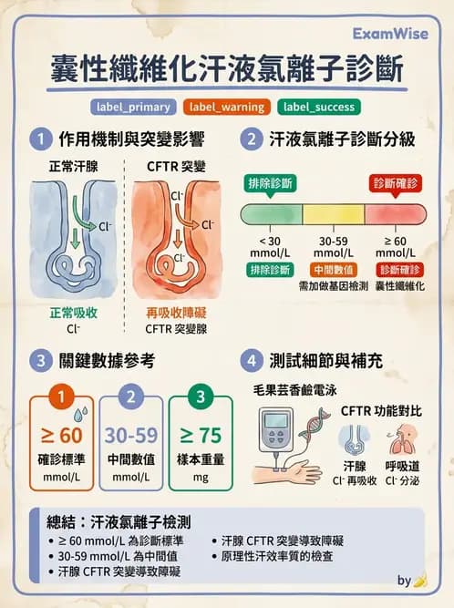 醫檢師 - 電解質與微量元素 - AI 圖文解析預覽