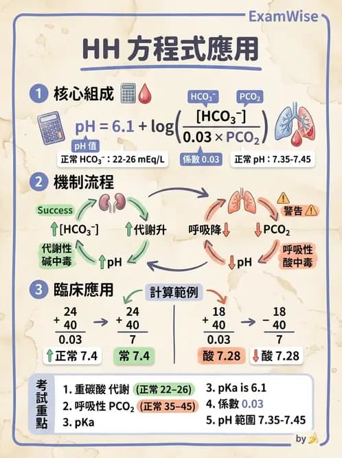 醫檢師 - 血液氣體分析及酸鹼平衡 - AI 圖文解析預覽