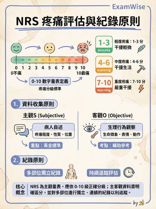 護理師 - 綜合評估與檢體採集 - AI 圖文解析預覽