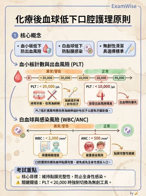 護理師 - 個人衛生與舒適照護 - AI 圖文解析預覽