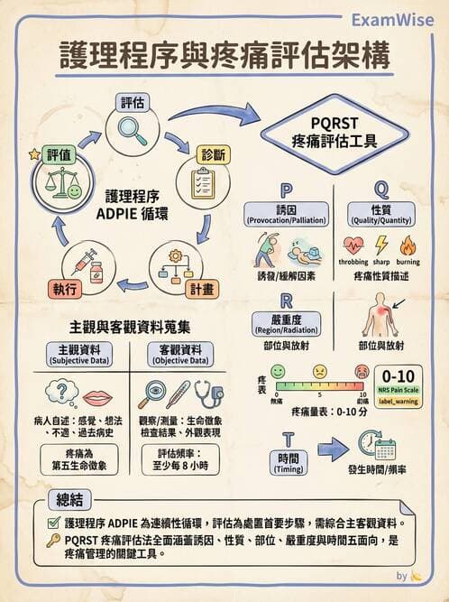 護理師 - 綜合評估與檢體採集 - AI 圖文解析預覽