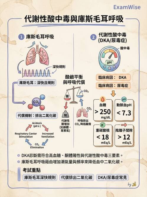 護理師 - 體溫與呼吸評估 - AI 圖文解析預覽