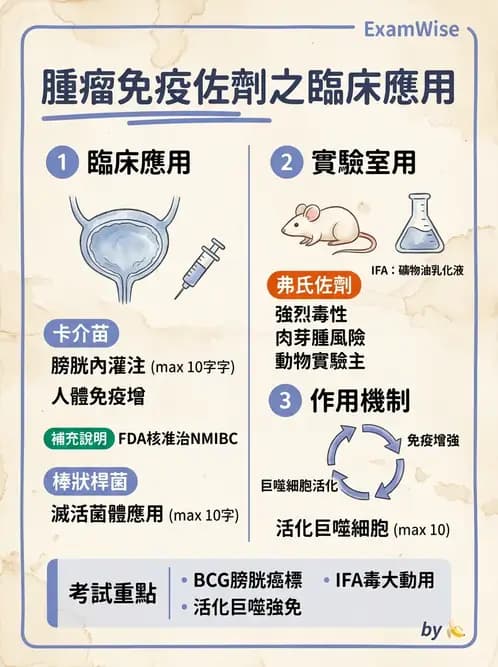 醫檢師 - 腫瘤免疫學免疫療法及疫苗 - AI 圖文解析預覽