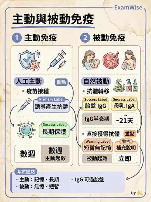 醫檢師 - 腫瘤免疫學免疫療法及疫苗 - AI 圖文解析預覽