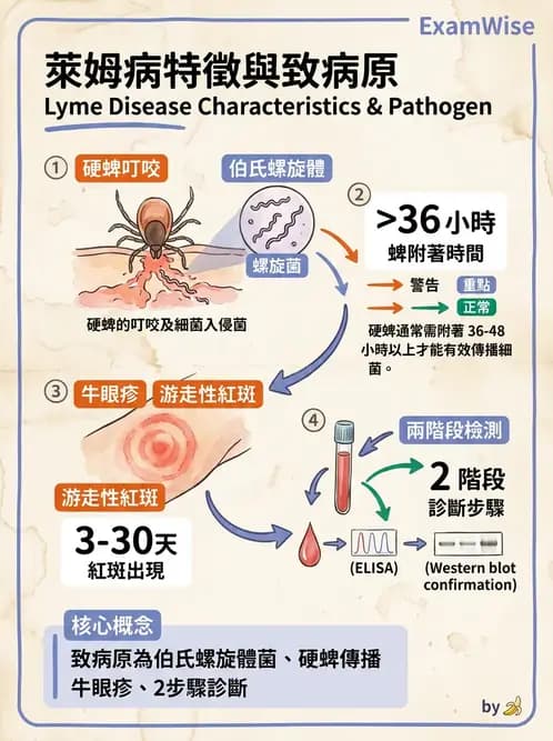 醫檢師 - 急性發炎蛋白與微生物感染血清學 - AI 圖文解析預覽