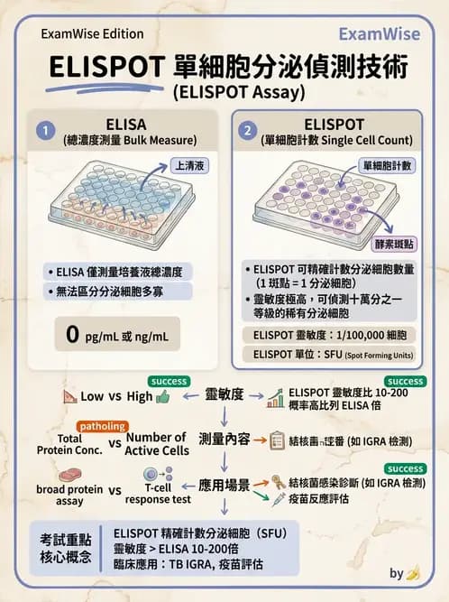 醫檢師 - 實驗室測試免疫法 - AI 圖文解析預覽