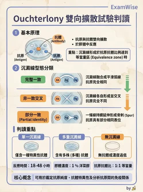 醫檢師 - 實驗室測試免疫法 - AI 圖文解析預覽