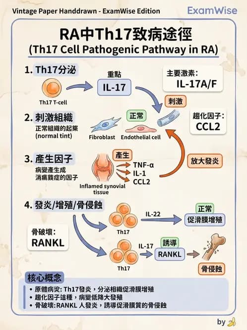 醫檢師 - 其他自體免疫疾病與自體抗體檢驗 - AI 圖文解析預覽