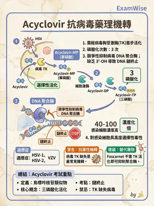 醫檢師 - 抗病毒藥物與疫苗通論 - AI 圖文解析預覽