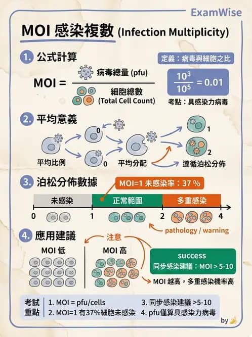 醫檢師 - 病毒檢驗技術 - AI 圖文解析預覽