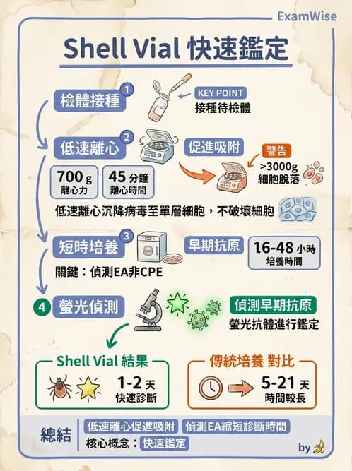 醫檢師 - 病毒檢驗技術 - AI 圖文解析預覽