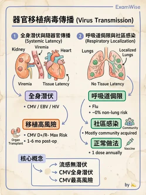 醫檢師 - 病毒檢驗技術 - AI 圖文解析預覽