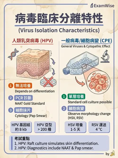 醫檢師 - 病毒檢驗技術 - AI 圖文解析預覽