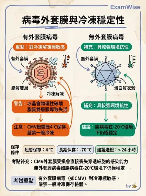 醫檢師 - 病毒檢驗技術 - AI 圖文解析預覽