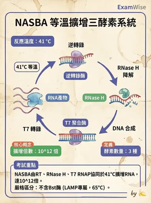 醫檢師 - 病毒檢驗技術 - AI 圖文解析預覽