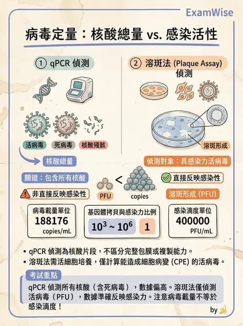 醫檢師 - 病毒檢驗技術 - AI 圖文解析預覽