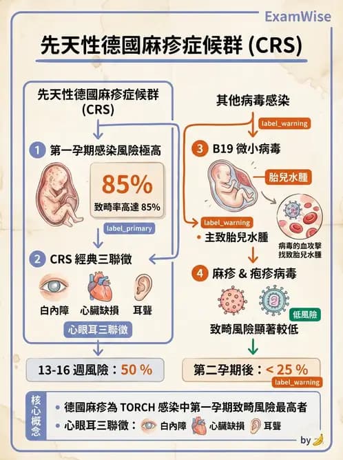 醫檢師 - 其他RNA病毒 - AI 圖文解析預覽