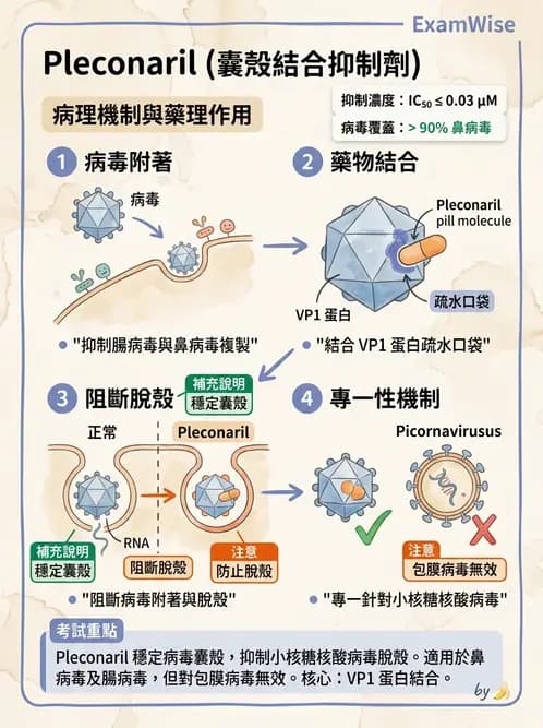 醫檢師 - 小RNA病毒科與腸道病毒 - AI 圖文解析預覽