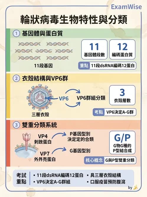 醫檢師 - 其他RNA病毒 - AI 圖文解析預覽