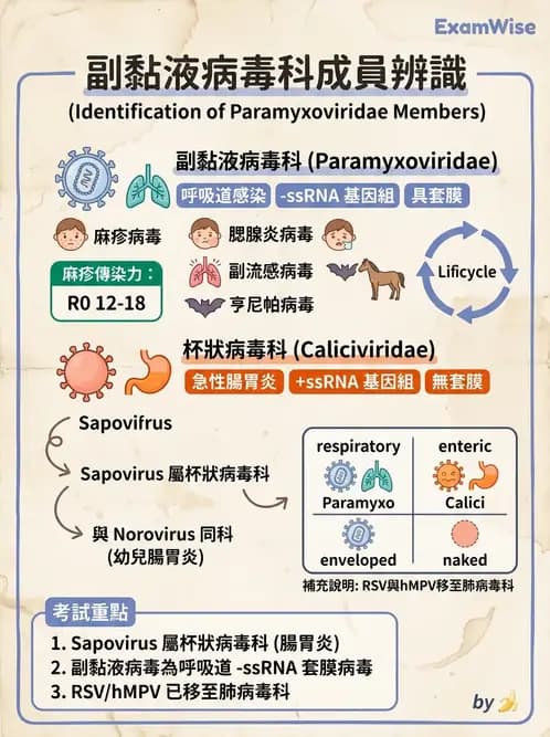 醫檢師 - 副黏液病毒科 - AI 圖文解析預覽