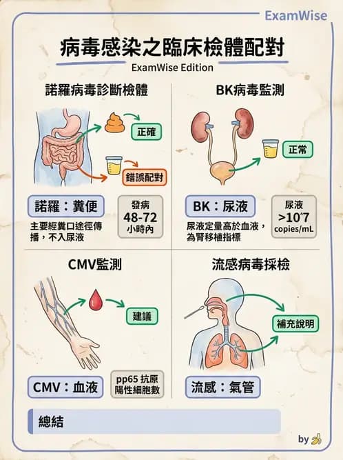 醫檢師 - 病毒檢驗技術 - AI 圖文解析預覽