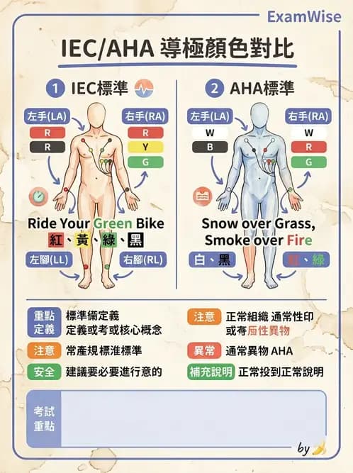 醫檢師 - 心電圖基礎與判讀 - AI 圖文解析預覽