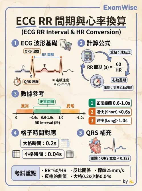 醫檢師 - 心電圖基礎與判讀 - AI 圖文解析預覽