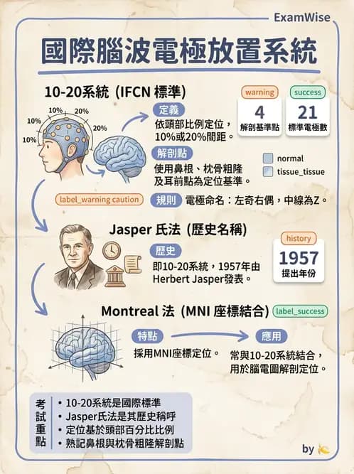 醫檢師 - 腦電圖檢查 - AI 圖文解析預覽