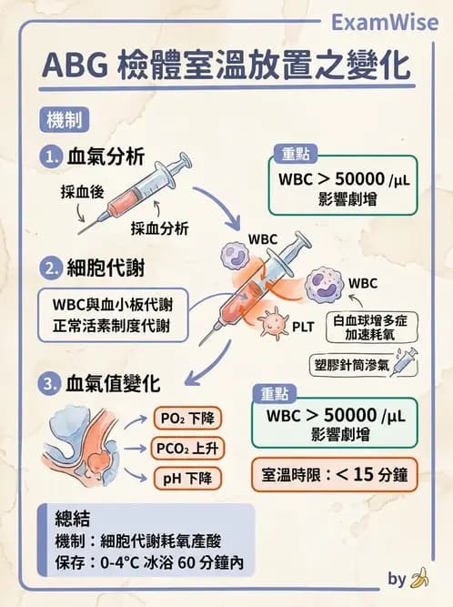 醫檢師 - 血液氣體分析 - AI 圖文解析預覽