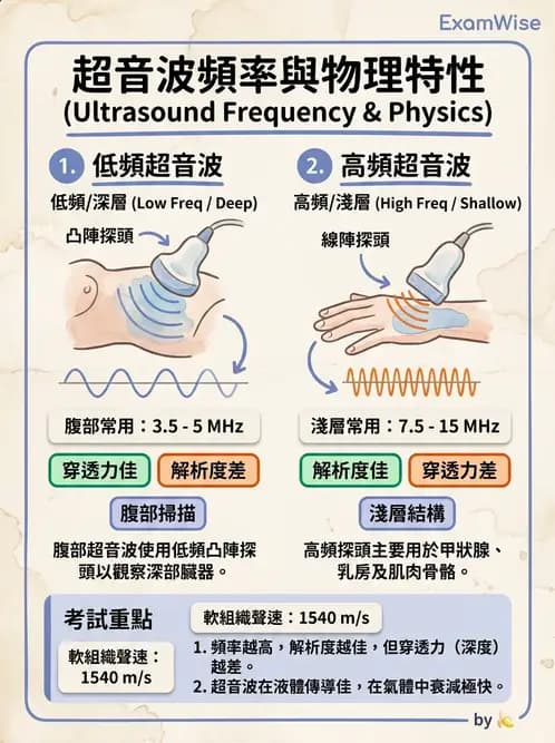 醫檢師 - 超音波檢查 - AI 圖文解析預覽