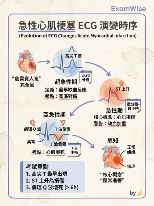 醫檢師 - 心肌病變與特殊心電圖 - AI 圖文解析預覽