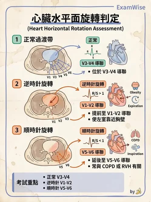 醫檢師 - 心電圖基礎與判讀 - AI 圖文解析預覽