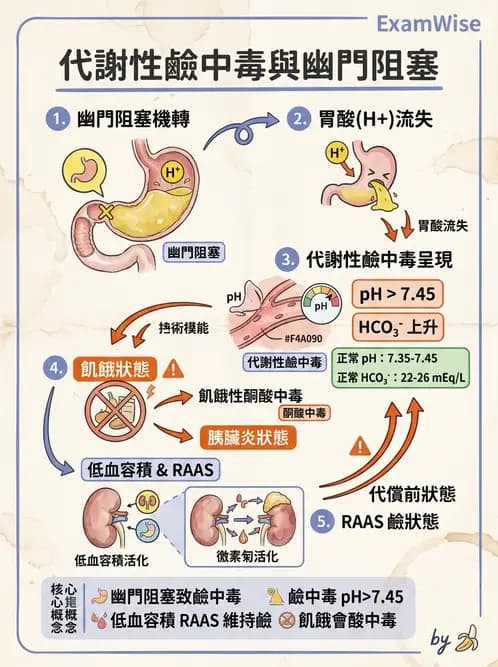 醫檢師 - 血液氣體分析 - AI 圖文解析預覽