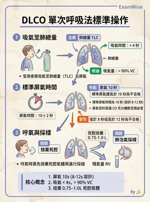 醫檢師 - 肺功能基礎與指標 - AI 圖文解析預覽