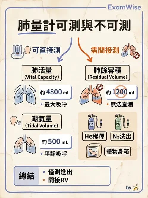 醫檢師 - 肺功能基礎與指標 - AI 圖文解析預覽