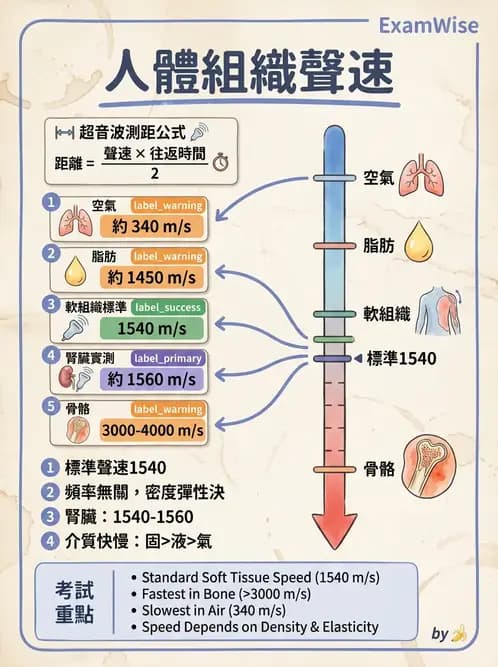 醫檢師 - 超音波檢查 - AI 圖文解析預覽