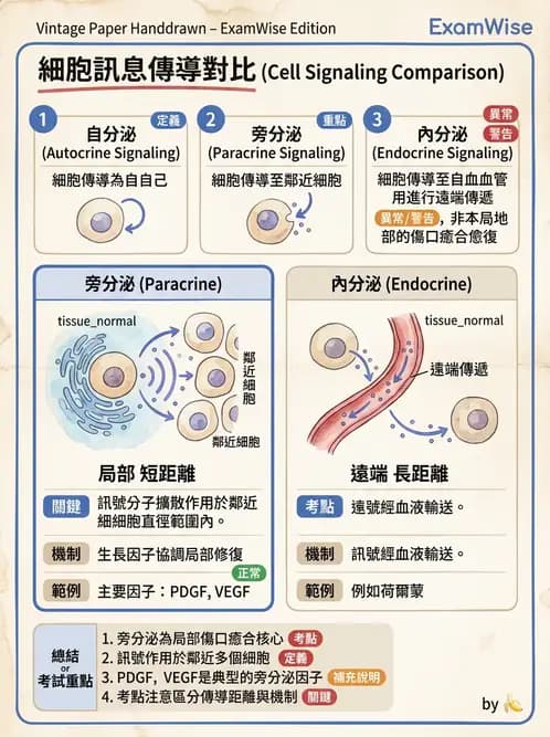 醫檢師 - 細胞傷害、發炎與修復 - AI 圖文解析預覽