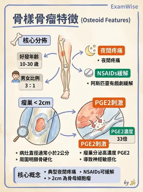 醫檢師 - 骨骼及軟組織疾病 - AI 圖文解析預覽