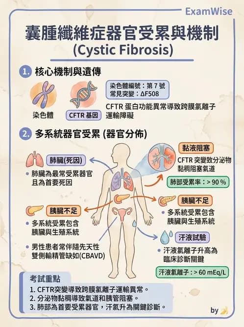 醫檢師 - 遺傳和發育疾病 - AI 圖文解析預覽