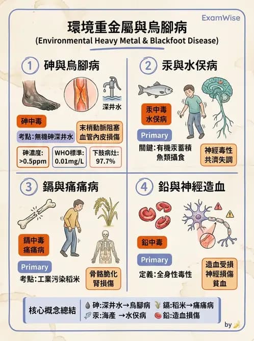 醫檢師 - 物理和化學傷害及營養疾病 - AI 圖文解析預覽