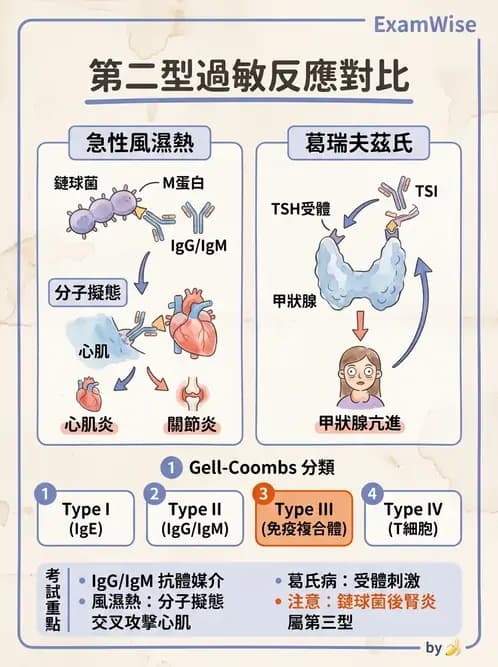 醫檢師 - 免疫疾病 - AI 圖文解析預覽