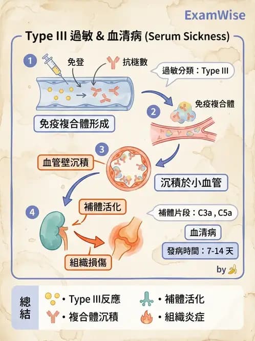 醫檢師 - 免疫疾病 - AI 圖文解析預覽