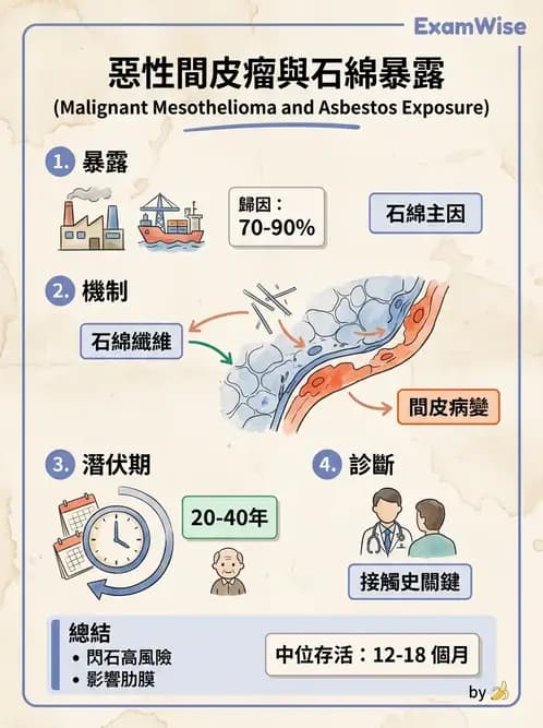 醫檢師 - 呼吸系統疾病 - AI 圖文解析預覽
